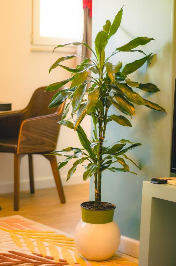 Bright Apartment Close To City Center Tirana Esterno foto